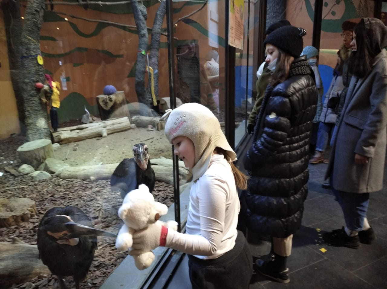 Поездка артистов инклюзивного театра "Волшебная флейта" в московский зоопарк